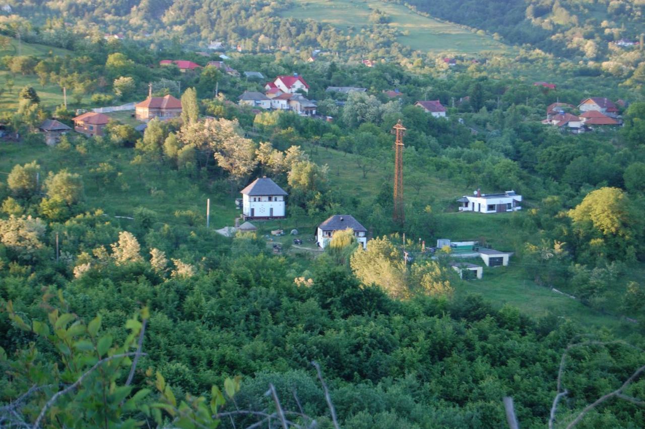 Cottage Poe Poienari Екстер'єр фото