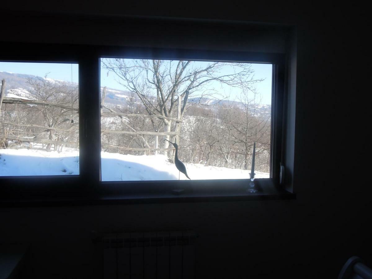Cottage Poe Poienari Екстер'єр фото