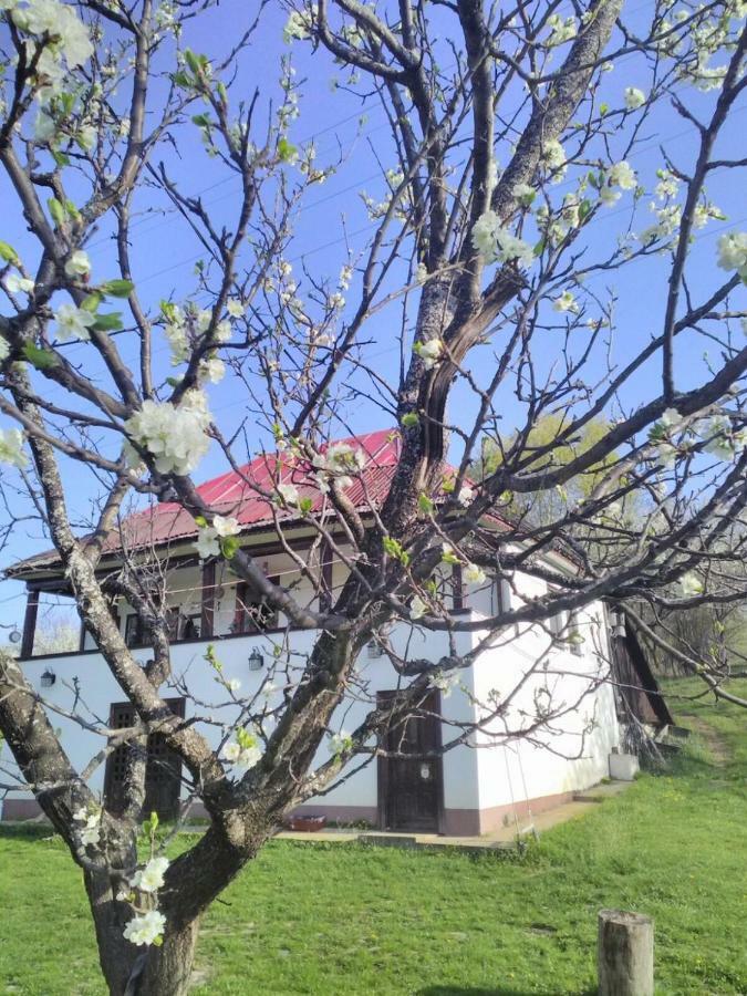 Cottage Poe Poienari Екстер'єр фото