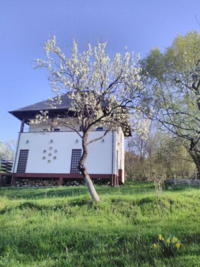 Cottage Poe Poienari Екстер'єр фото