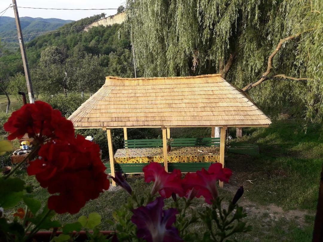 Cottage Poe Poienari Екстер'єр фото